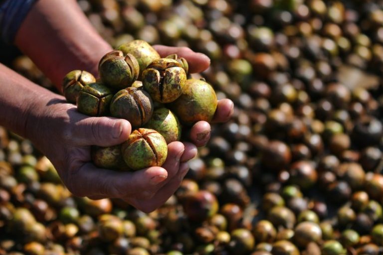 腊月二十三登陆纳斯达克广告屏，祝全球华人新年大吉！缩略图