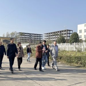 2025年11月：交流插图