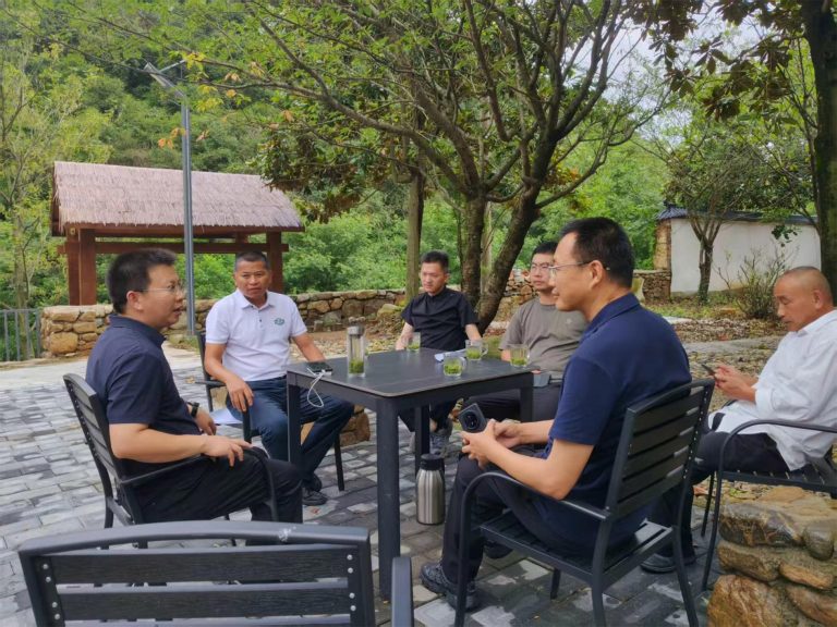 深化政企对接 共筑油茶产业新生态——绿达山茶油赴周河乡开展调研洽谈缩略图